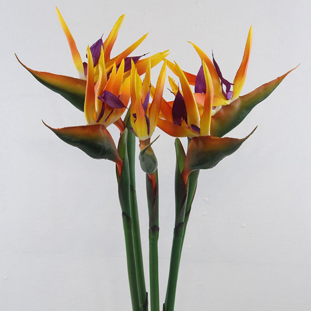 Bird Paradise Strelitzia - 1pc 80cm flor pássaro do paraíso