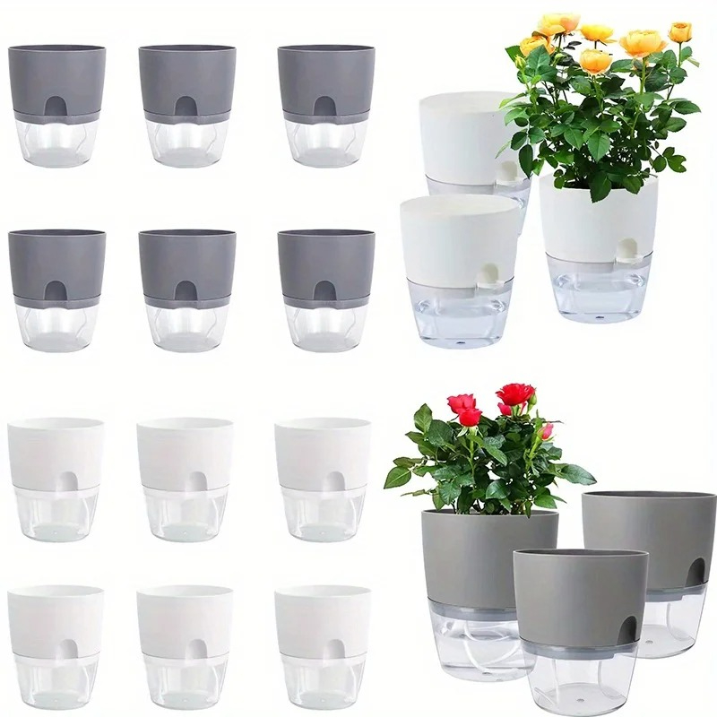 Aloe Vera Pot - 10/5 pçs auto rega vaso de