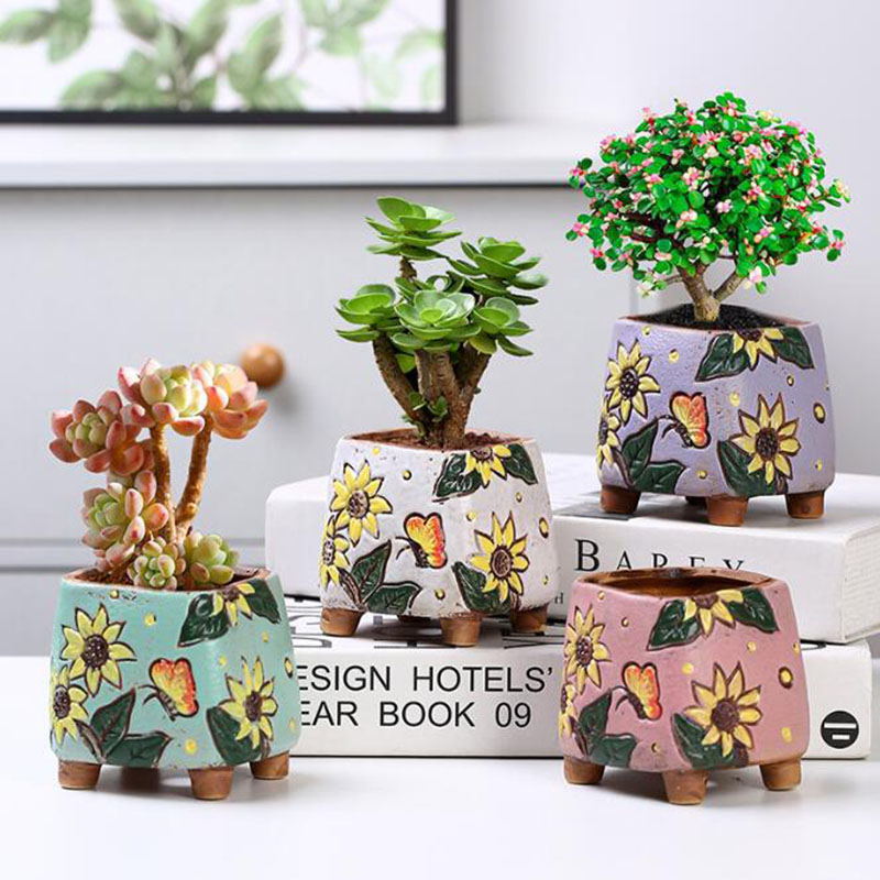 Vaso de plantas suculentas com - Echeveria Succulent avaliação e preço