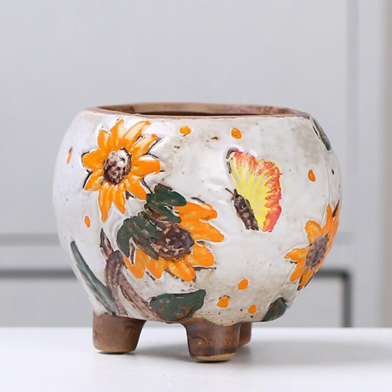 Vaso de plantas suculentas com - Echeveria Succulent avaliação e preço