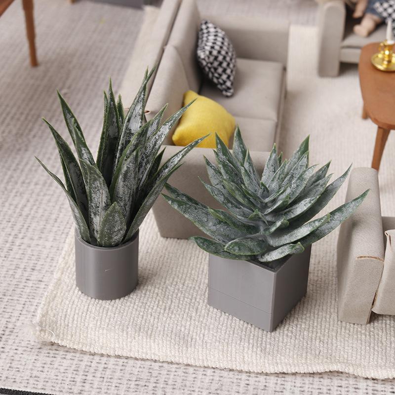 Miniatura de Planta de Aloe Ve - Aloe Vera Pot avaliação e preço