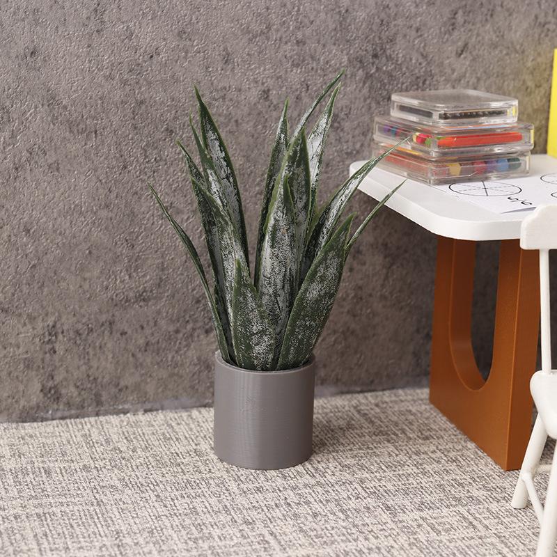 Miniatura de Planta de Aloe Ve - Aloe Vera Pot avaliação e preço