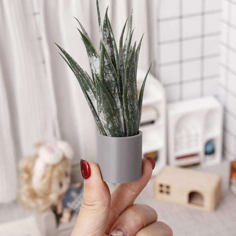 Miniatura de Planta de Aloe Ve - Aloe Vera Pot avaliação e preço