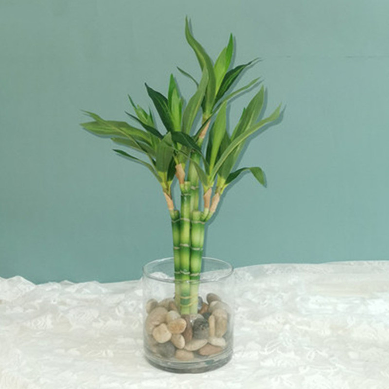 Novo 40cm rftificial sorte bam - Echeveria Succulent avaliação e preço