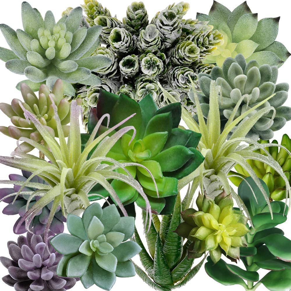 Pacote com 15 Suculentas Artif - Echeveria Succulent avaliação e preço