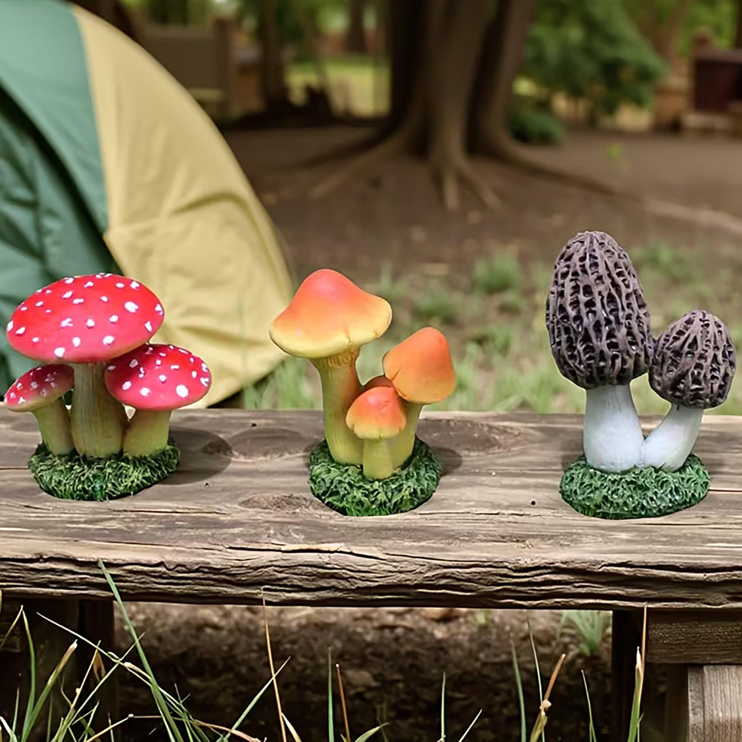 1 Conjunto de 3 Peças de Ornam - Echeveria Succulent avaliação e preço