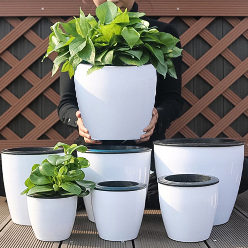 Vaso Automático de Plantas de  - Aloe Vera Pot avaliação e preço